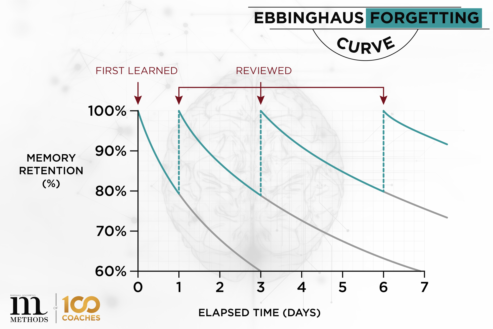 Blog-34---Forgetting-Curve-Infographic